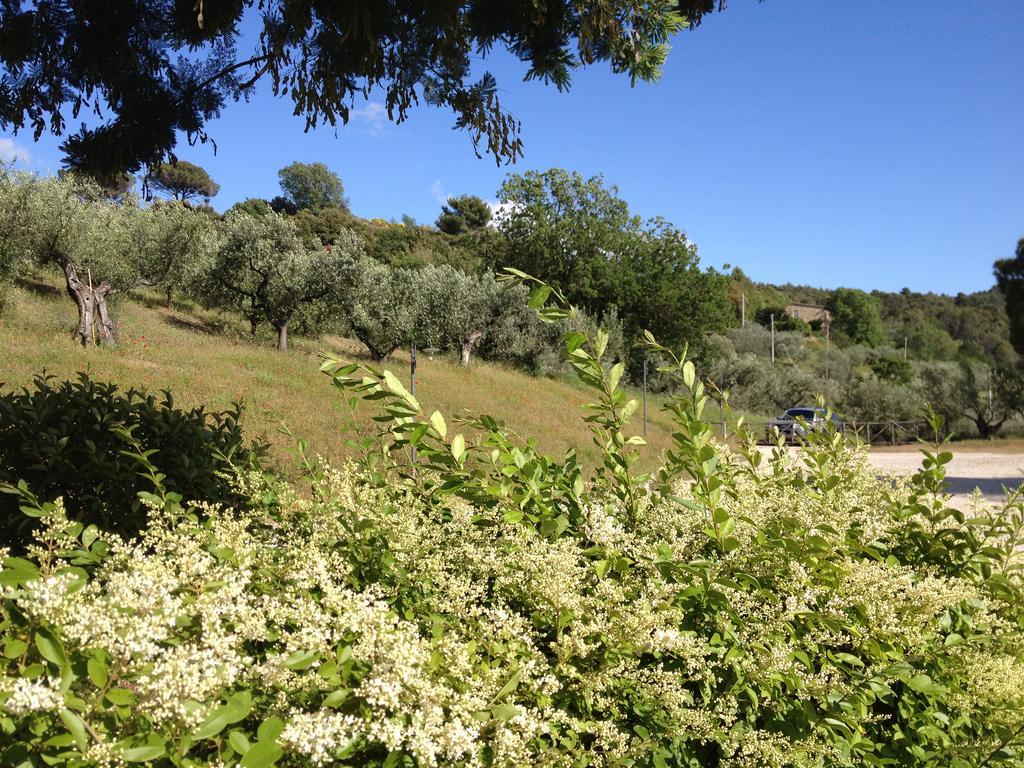 Il Poggio Delle Ginestre Guest House Torgiano Exterior photo