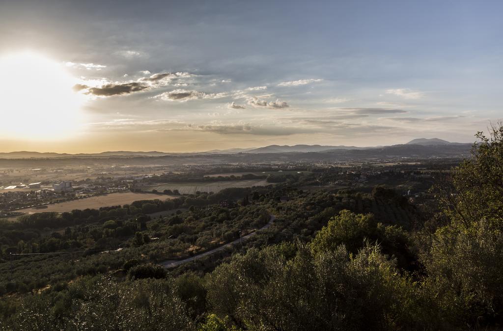 Il Poggio Delle Ginestre Guest House Torgiano Exterior photo